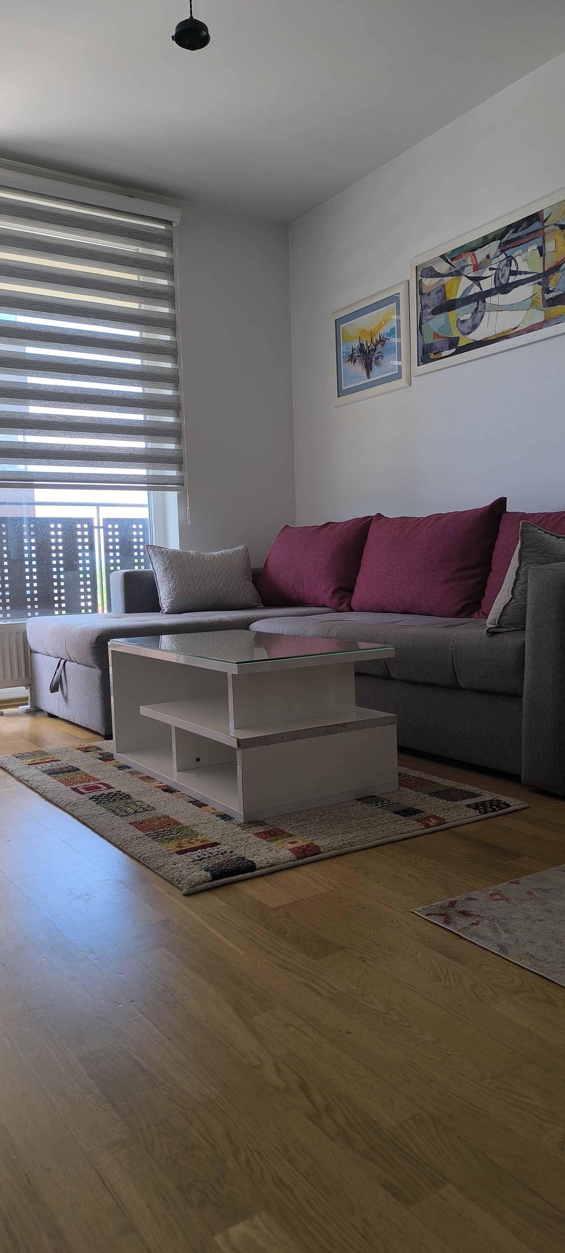 Apartman Miljacka — fotografija 19